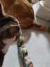 力狼（LILANG）宠物猫粮幼猫成猫零食猫湿粮猫咪猫罐头 囤货 金枪鱼+混合口味 170g*48罐 实拍图