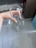 格娜斯（CRISTALGLASS）红酒醒酒器 家用玻璃快速葡萄酒醒酒器 酒店倒酒器分酒器酒壶 实拍图