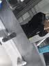 豪耀小西装外套女职业装女装套装春秋正装韩版修身休闲面试工作西服女 黑色西装+裤子+衬衫 L 码(建议100-110斤) 实拍图