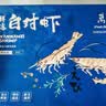万景北海鲜冻白虾 国产白虾 单冻无冰净重4斤 100-120只 家庭聚餐 实拍图