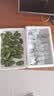 京觅丹东软枣猕猴桃绿心奇异莓单果15-30g 3斤礼盒装净重水果源头直发 实拍图