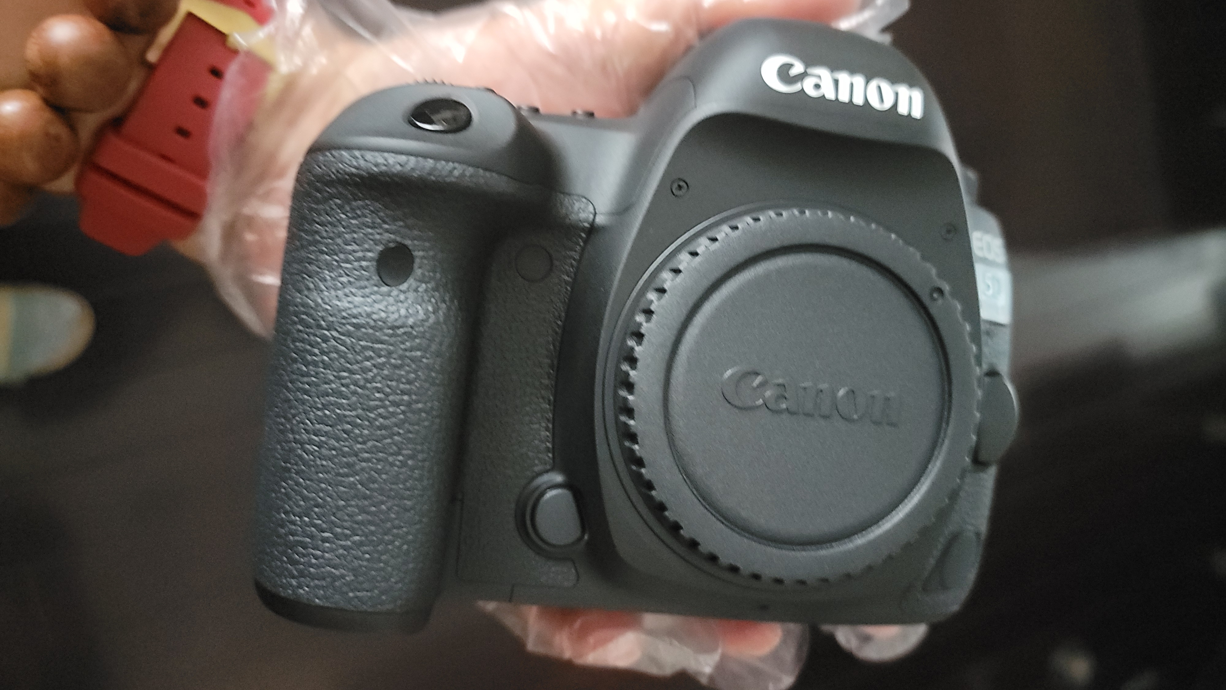 佳能（Canon）【官方旗舰】5D4佳能相机 4K高清视频 人像风景拍摄 旗舰级单反相机 佳能5d4 24-105套机 学生相机 实拍图