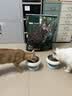 网易严选全价鲜鸡肉猫粮J40 生骨肉无谷主食冻干 成幼猫草本植萃10kg 实拍图