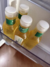农夫山泉东方树叶茉莉花茶500ml*15瓶无糖茶饮料0糖0脂0卡整箱装 实拍图
