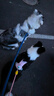 鲜朗低温烘焙狗粮冻干生骨肉天然无谷幼犬成犬全阶段换粮试吃试用 烘焙犬粮鸭肉梨试吃装 250g(实惠装50g*5包) 实拍图
