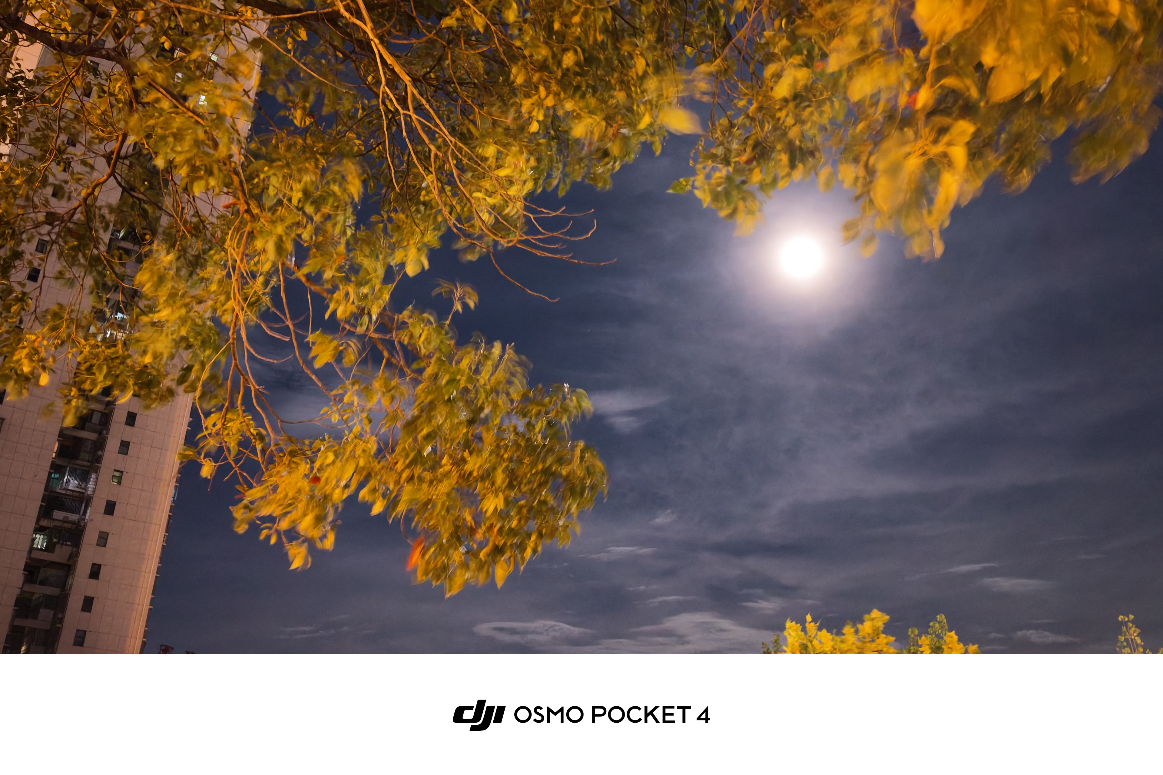 大疆 DJI Osmo Pocket 4 一英寸口袋云台相机 OP灵眸手持数码相机 旅游vlog便携美颜摄像 标准套装 官方标配 实拍图