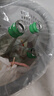 天湖8度鲜100啤酒鲜活原料品味新鲜450ml*6瓶礼盒装 辽宁特产自营啤酒 实拍图