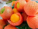 京鲜生 应季脐橙 净重3斤 单果120g+ 新鲜水果橙子 源头直发包邮 实拍图