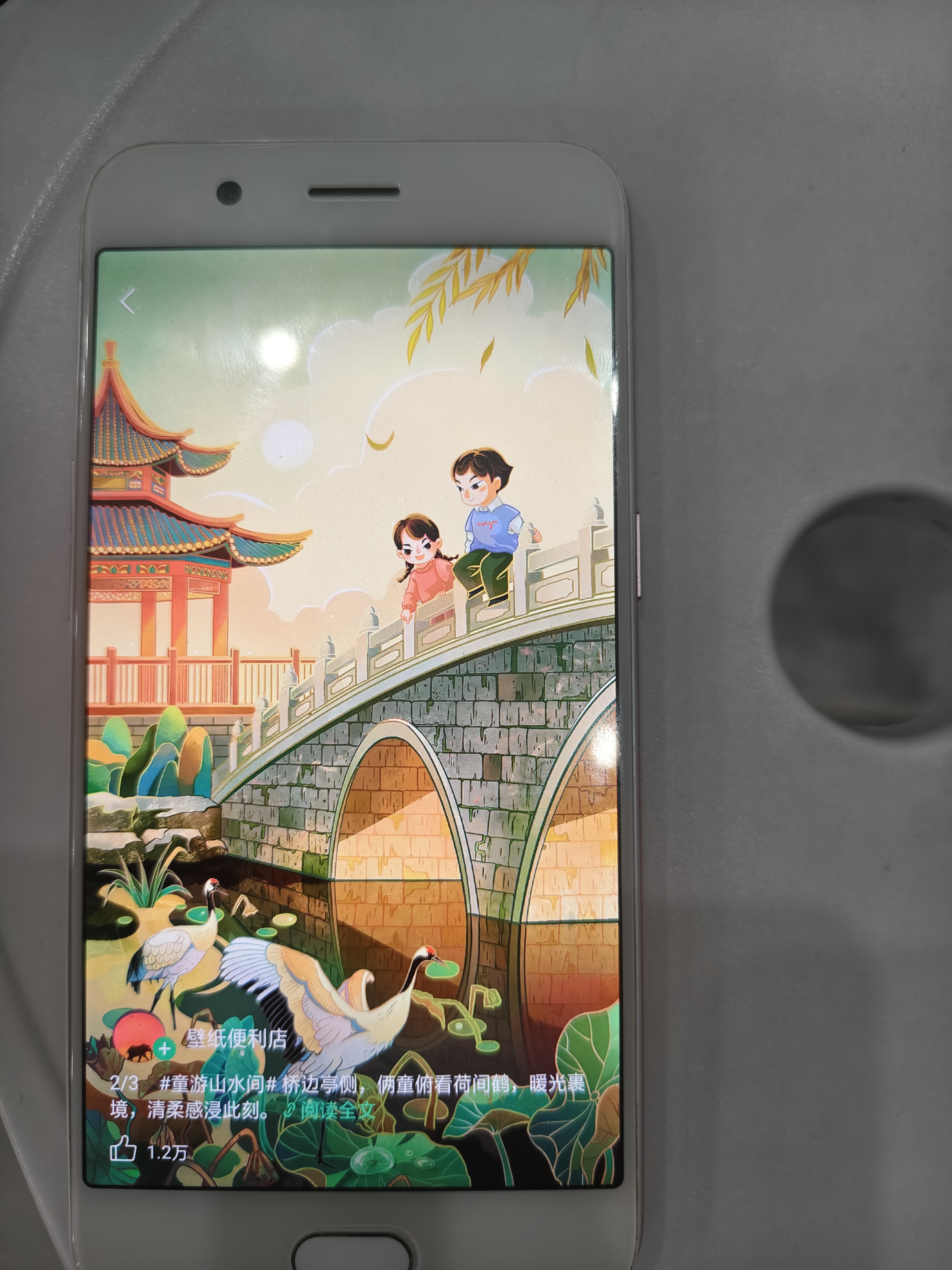 OPPO R9s/R9sk 二手手机 安卓智能游戏手机 全网通 r9s  玫瑰金 4G+64G 全网通 9成新 实拍图