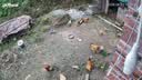 dahua大华监控4G摄像头终身免流量500万超清家用监控器360度无死角带夜视 DH-B5-4G 实拍图