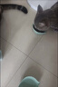 伟嘉猫粮成猫全价猫粮亮毛蓝猫均衡营养10kg海洋鱼夹心粮【原料透明】 实拍图