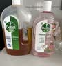 滴露（Dettol）消毒液洗衣衣物消毒水750mL 除螨杀菌混洗无忧 家居地板消毒 非84 实拍图