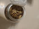丙田 黄金牛蒡茶510克 大片鲜牛蒡根发酵 熟牛滂干牛旁粉牛磅荼牛榜子 实拍图