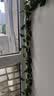 盛世泰堡假绿植藤蔓装饰绿植仿真藤条空调管装饰美化装饰绿叶藤条仿真绿植 实拍图
