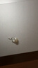 黛米S925银无核馒头圆5-6mm淡水珍珠耳钉七夕礼物送女友老婆 实拍图
