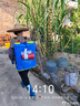 农宝 20L高压电动喷雾器充电打药机喷雾喷水浇花消毒喷雾器 机身调速 实拍图