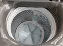美的（Midea）免清洗波轮洗衣机全自动7公斤小型家用 一级能效 MB70V56B 新风换气 以旧换新 补贴 京东自营 宿舍 实拍图