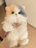 麦扣羊仿真三花小猫咪玩偶背包猫猫包送儿童小男女朋友七夕生日礼物 实拍图
