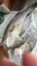仙泉湖冷冻三去白蕉海鲈鱼700g/袋(2条装)肉厚刺少水产生鲜食材 实拍图