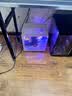领睿英特尔酷睿i7升24核RTX4060独显64G内存台式电脑主机黑神话悟空3A游戏办公设计师渲染组装电脑全套 六：32线程强芯+32G+RTX4050/黑悟空 主机 实拍图