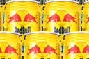 红牛（RedBull）维生素牛磺酸饮料 250ml*12(6罐*2包) 功能饮料 实拍图