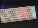 迈从（MCHOSE）Ace 68 V2磁轴键盘Gus同款RT电竞游戏低延迟60pro机械有线68键配列FPS双驱动无畏契约 Ace68 V2 超竞版白等高实线青玉磁轴+RT键 实拍图