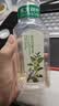 农夫山泉 东方树叶陈皮白茶335ml*24瓶无糖茶饮料0糖0脂0卡整箱装 实拍图