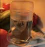 乐品乐茶【露思同款】LeTea热冷泡茶包小满罐苹果红茶水果茶袋泡茶饮料35g 实拍图