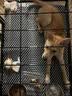 腆宠狗笼狗窝狗笼子大型犬中小型犬带厕所猫笼家用室内宠物笼子狗围栏 实拍图