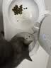 instinct天然百利猫粮 进口鸡肉增肥宠物小幼猫成猫老年猫英短美短猫主粮 【大包复购-效期27/10月】经典无谷鸡肉全猫粮5kg 实拍图