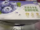 伊利优酸乳果粒酸奶饮品蓝莓味 245g*12盒 真实果粒 中秋礼品礼盒装 实拍图