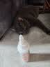 普安特宠物猫咪洗耳液耳螨狗狗滴耳液猫耳朵清洁耳垢臭痒漂护理液尔加分 实拍图