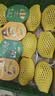 佳沛（zespri）新西兰 阳光金奇异果12粒特大果单果124-146g 猕猴桃水果礼盒 实拍图