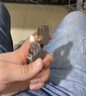 ZIPPO打火机之宝防风煤油 锻纱镀铬 生日礼物送男友送老公 含油套装 实拍图