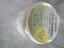 贝亲（Pigeon）婴儿爽身粉 舒缓干爽 玉米粉爽身粉  无滑石粉 无香精 50g HA15 实拍图
