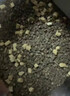 网易严选全价冻干双拼猫粮3.0 主粮成幼猫高鲜肉鸡鸭护肠胃囤货1.8kg *6袋 实拍图