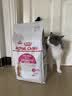 皇家猫粮 挑嘴成猫猫粮 高适口性 EF38 通用粮 12月以上 10KG 实拍图