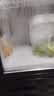 新飞 （Frestec）展示柜冷藏保鲜柜酒水饮料冰柜双开门冷藏柜酒店冷藏保鲜柜超市直冷玻璃门风冷无霜冰箱立式冷柜 小双门黑红588L【直冷省电】【店长推荐】1米 实拍图