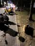 宝路狗粮 成犬狗粮全犬种中小型犬中大型犬金毛哈士奇鸡肉味10kg 实拍图