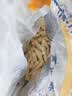 蓝威斯顿3/8原味冷冻粗薯条2kg 线下同款 空气炸锅食材看球油炸食品预制菜 实拍图