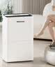 海信（Hisense）除湿机12升/天60㎡回南天家用抽湿机地下室 轻音卧室净化干衣抽湿器去湿防潮 宿舍CF12BD/U 实拍图