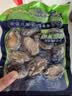江船长冷冻鲍鱼 净重200g袋装 13-17粒 火锅烧烤食材 海鲜生鲜 实拍图