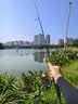 蕉下（beneunder）冰丝凉感冰袖男防晒袖套女夏天2026新款防紫外线运动骑行 实拍图