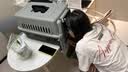 腆宠宠物航空箱小号 猫咪航空箱猫狗 猫包猫笼外出车载猫箱狗狗托运 实拍图