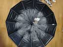 京东京造 飓风Pro全自动雨伞太阳伞遮阳男士晴雨伞大号24骨米色23寸105cm 实拍图