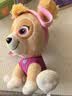 汪汪队立大功（PAW PATROL）毛绒玩具狗狗玩偶经典款天天小号坐姿公仔男女孩儿童生日礼物 实拍图
