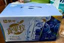 蒙牛真果粒蓝莓味牛奶饮品250g*12盒 新老包装 中秋送礼礼盒 实拍图