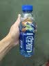 脉动猫薄荷限定瓶600ML*15瓶电解质水运动功能饮料补水低糖维生素整箱 实拍图