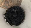 方家铺子中华老字号七星裙带菜100g烘干海带菜海产干货火锅伴侣 实拍图