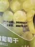 西域美农树上黄葡萄干 新疆特产大颗粒提子干蜜饯果干 250g 实拍图